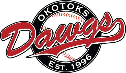 dawgsfanshop