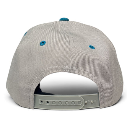 Dawgs Decky Grey Teal Hat Regular