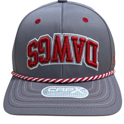 Dawgs Alpine Hat