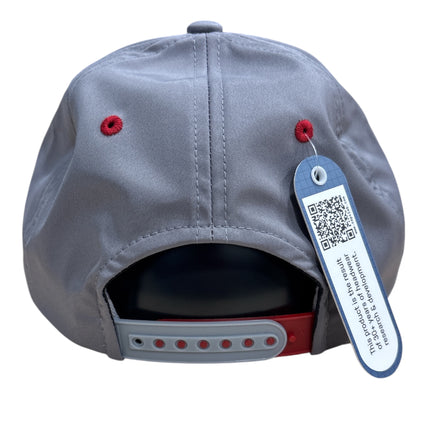 Dawgs Alpine Hat