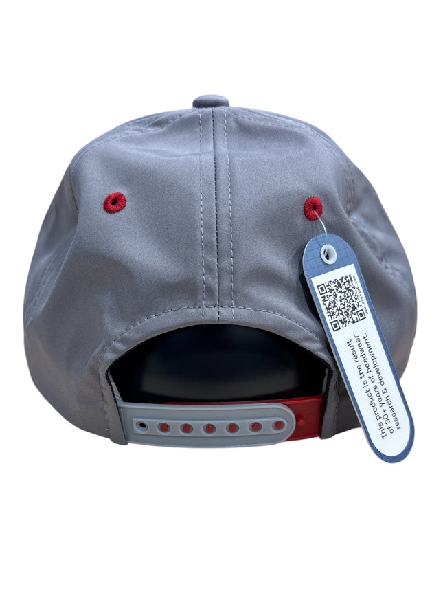 Dawgs Alpine Hat