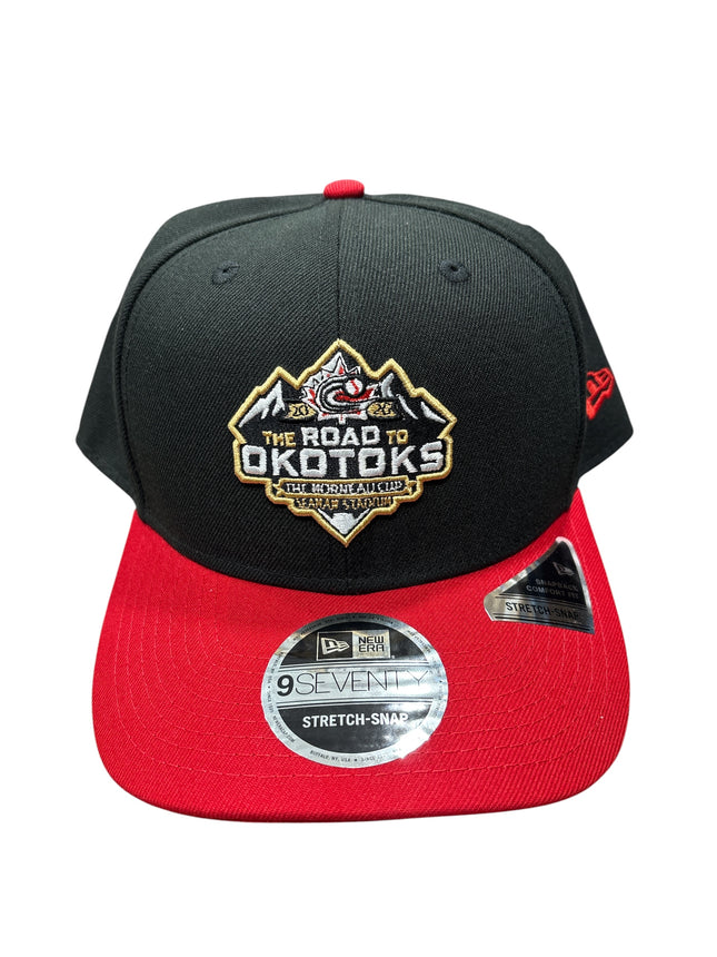 RTO New Era Hat Alternate