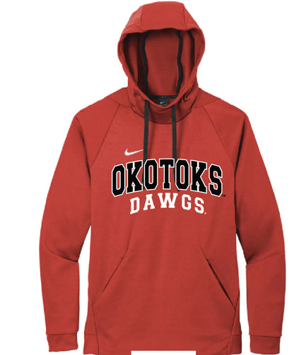 Dawgs Nike Florida Hoodie 1