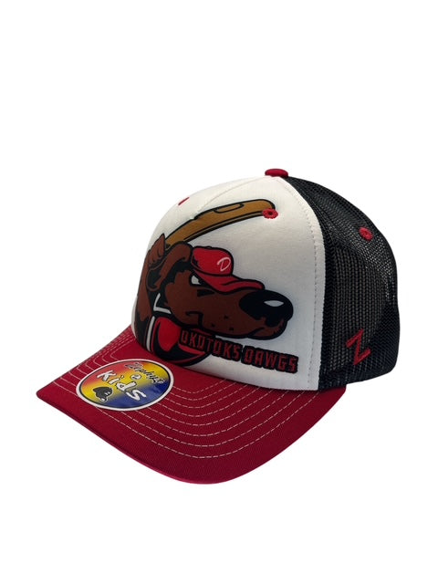 Dawgs Youth Diggity Hat