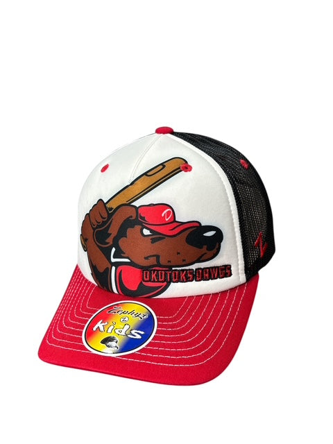 Dawgs Youth Diggity Hat