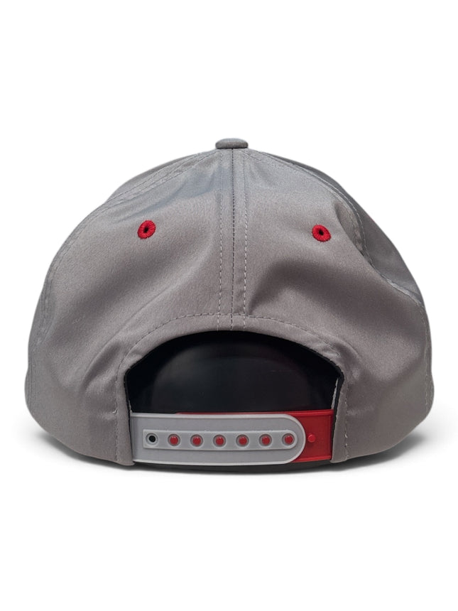 Dawgs Alpine Hat